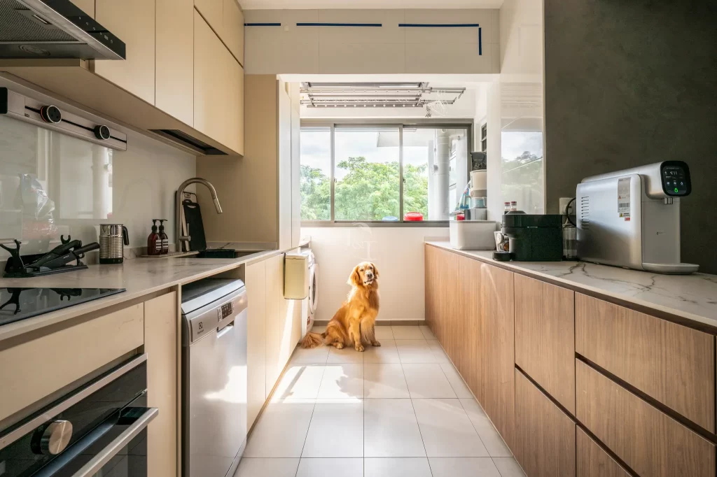 Minimalist kitchen with wooden cabinets